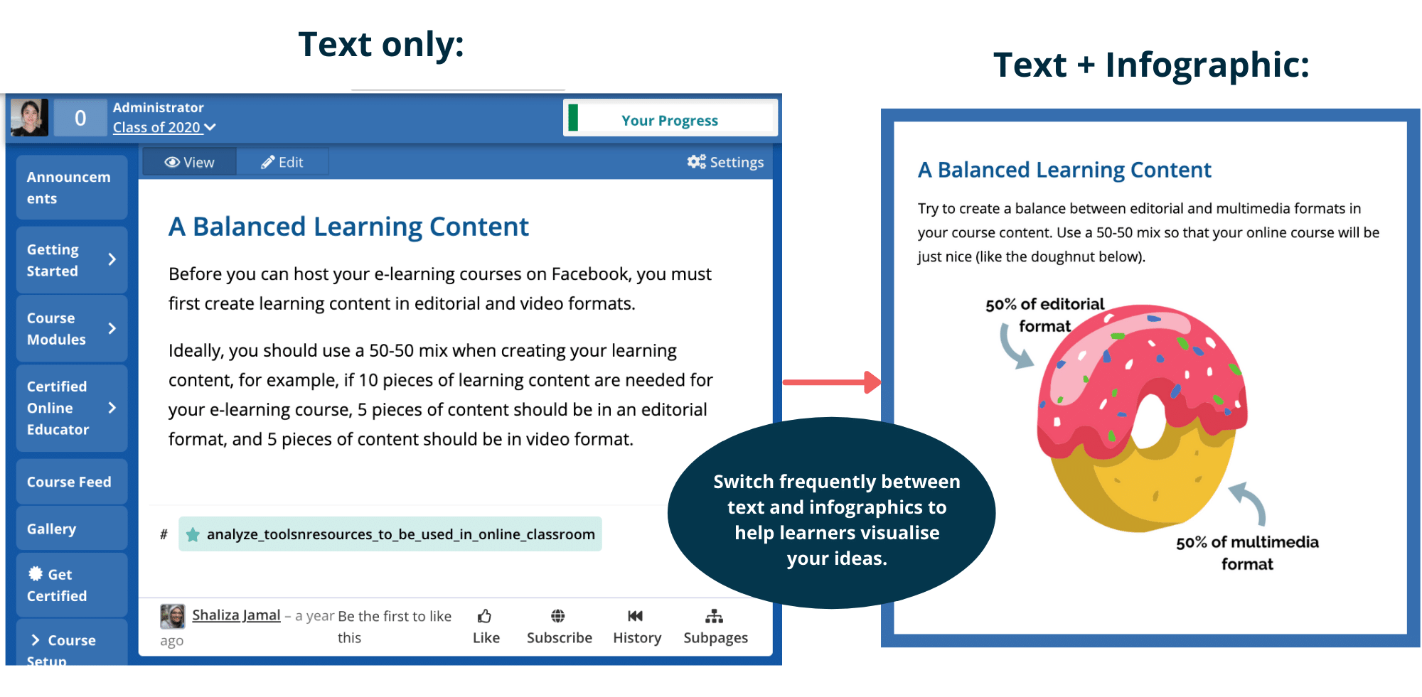 Doughnuts Infographic Switch and Mix in Online Course Shaliza