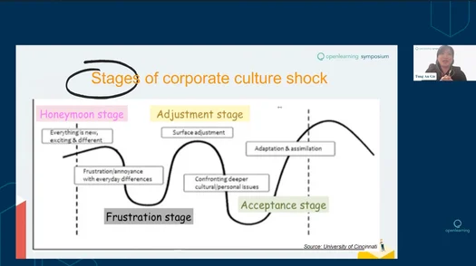 Tung An Gie Culture Shock or Culture Syiok at the Workplace