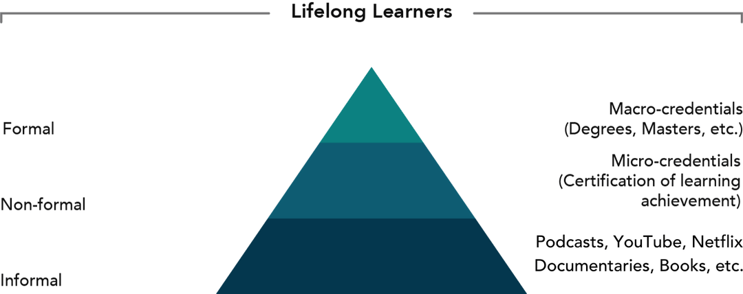 Lifelong-Learners