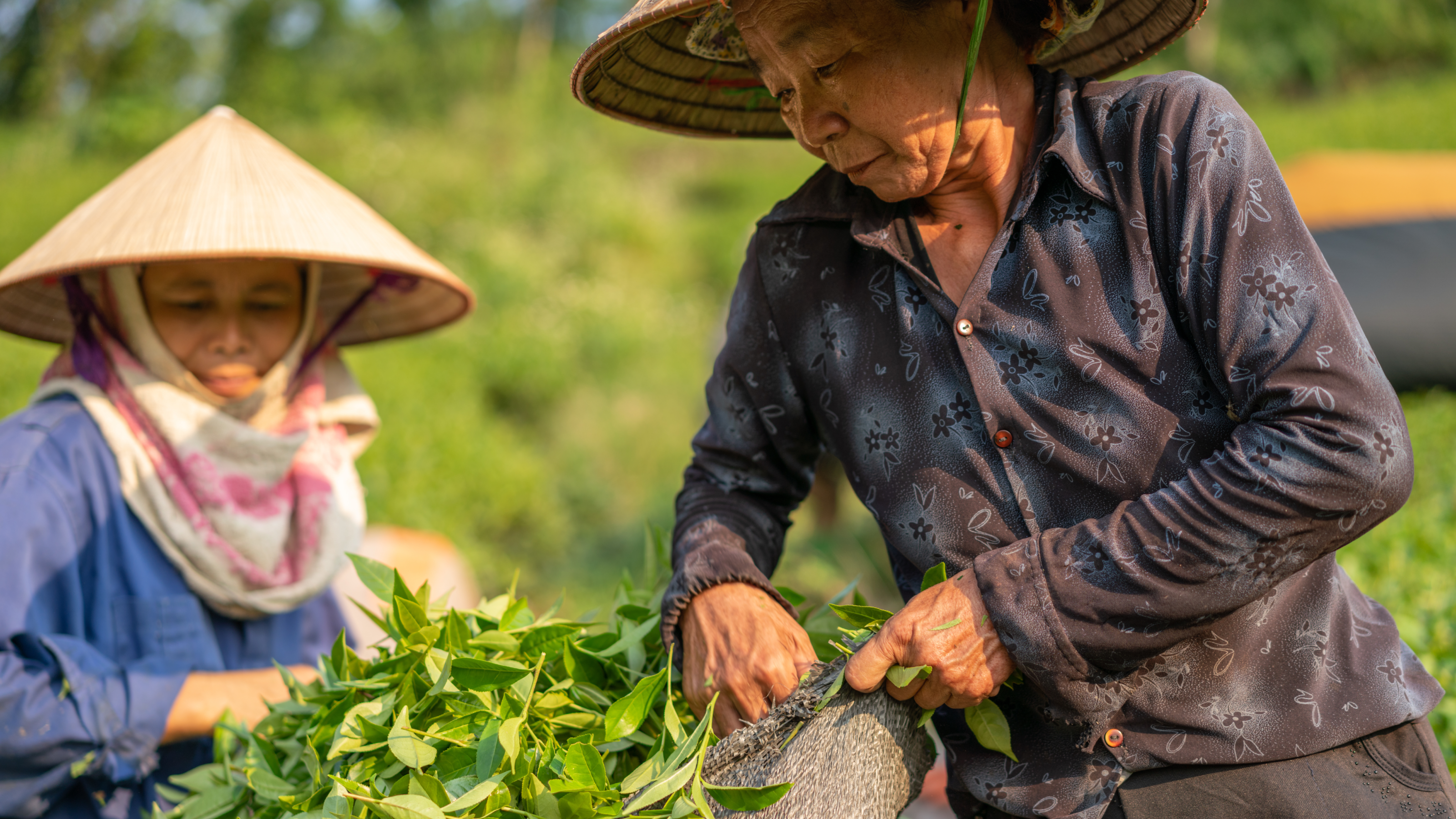 Create Impact with AFI's Inclusive Finance Training